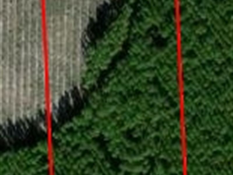 Andrew's Grove Lot 10 : Hilliard : Nassau County : Florida