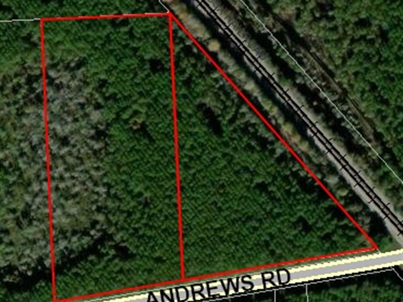 Andrew's Grove Lots 12 & 13 : Hilliard : Nassau County : Florida