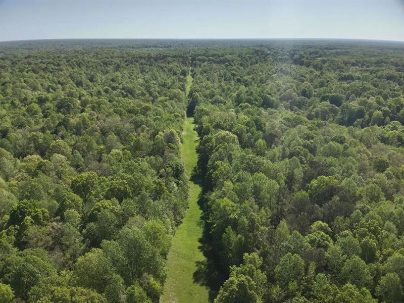 78 Acres in Yazoo County in Bentoni : Bentonia : Yazoo County : Mississippi