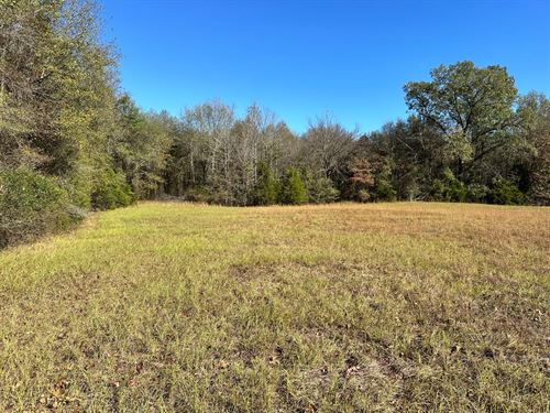 88.89 Acres in Dover, Arkansas : Dover : Pope County : Arkansas