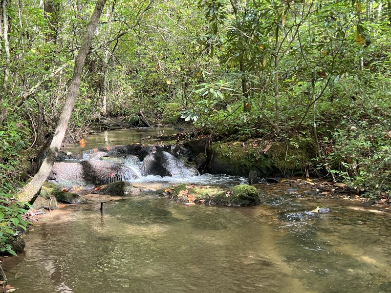 Whitecliff Drive, 67.48 Acres : Ellijay : Gilmer County : Georgia