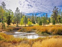 M & B Ranch : Groveland : Tuolumne County : California