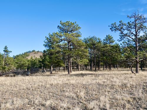 Walno 40 Acre Parcel : Livermore : Larimer County : Colorado