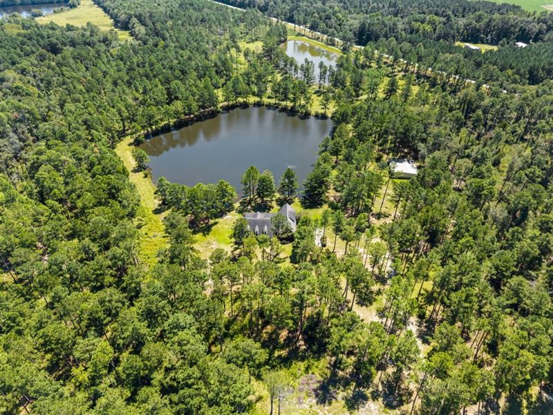 Best Bridge Road : Sylvania : Screven County : Georgia