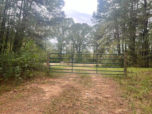 120 Acres in Amite County, MS : Crosby : Amite County : Mississippi