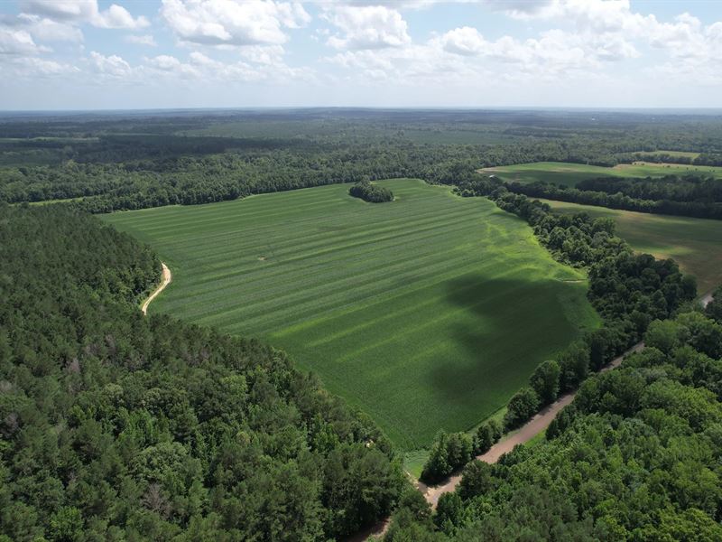 202.43 Acres in Attala County, MS : Sallis : Attala County : Mississippi