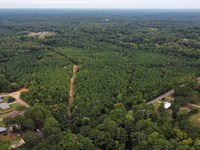 Land in Kosciusko, From $999 Down : Kosciusko : Attala County : Mississippi