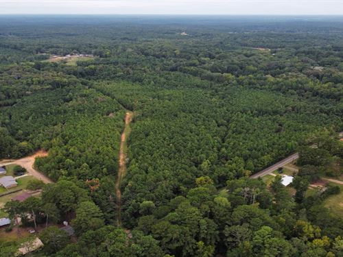 Land in Kosciusko, From $999 Down : Kosciusko : Attala County : Mississippi