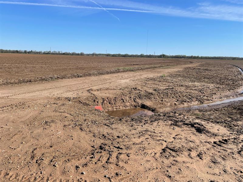 La, Caldwell 348 Acres : Columbia : Caldwell Parish : Louisiana