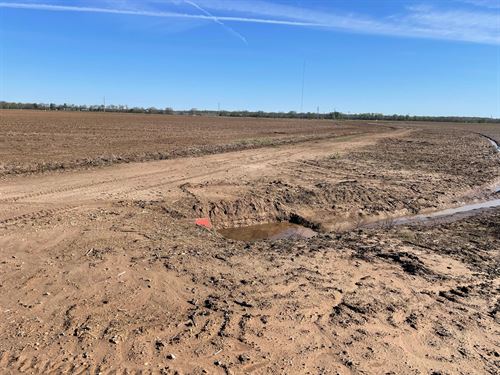 La, Caldwell 348 Acres : Columbia : Caldwell Parish : Louisiana