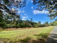 18.94 Acres on Gill Rd, Brookhaven : Brookhaven : Lincoln County : Mississippi