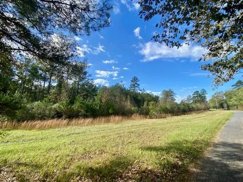 18.94 Acres on Gill Rd, Brookhaven : Brookhaven : Lincoln County : Mississippi