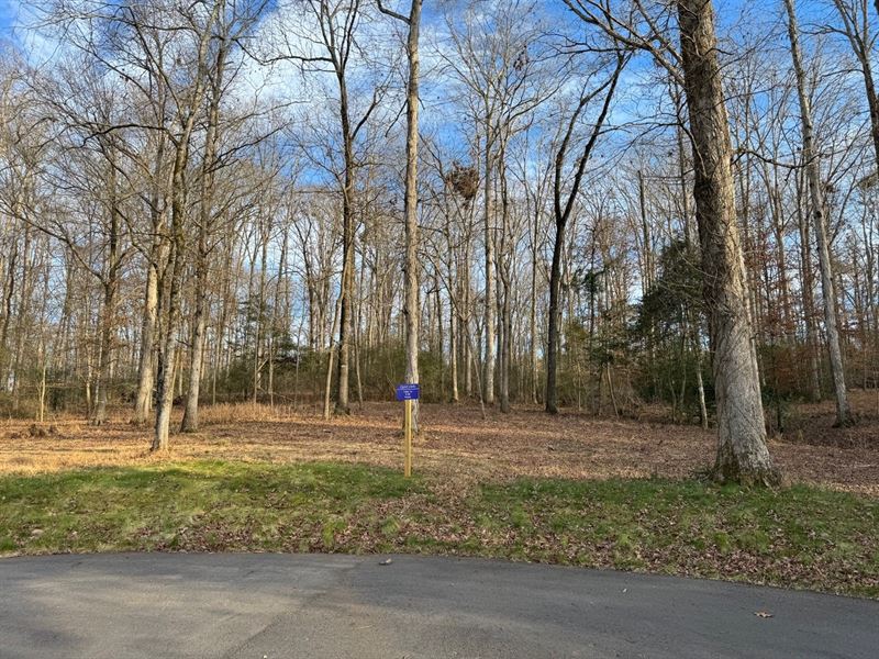 Quiet Oaks Lot 13 : Statham : Oconee County : Georgia