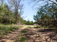 Beautiful Land Low Down Payment : Okemah : Okfuskee County : Oklahoma