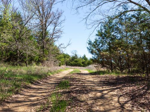 Beautiful Land Low Down Payment : Okemah : Okfuskee County : Oklahoma