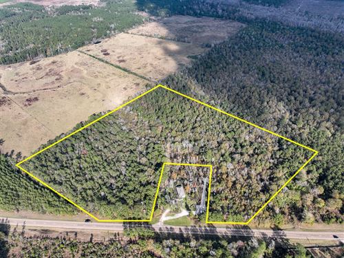 23 Acres FM 2460 : Bon Wier : Newton County : Texas