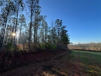 77 Acres, Chambers County : Five Points : Chambers County : Alabama