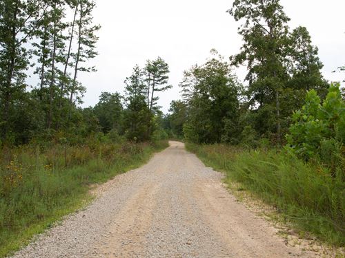 No Credit Check, $999 Down : Birch Tree : Shannon County : Missouri