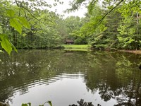 Reeder Tree Farm : Waterloo : Lauderdale County : Alabama