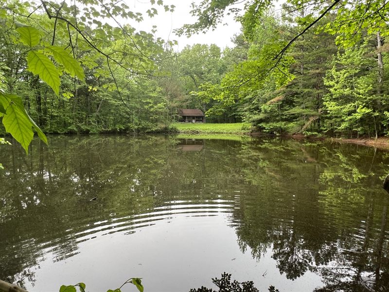 Reeder Tree Farm : Waterloo : Lauderdale County : Alabama