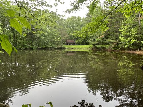 Reeder Tree Farm : Waterloo : Lauderdale County : Alabama