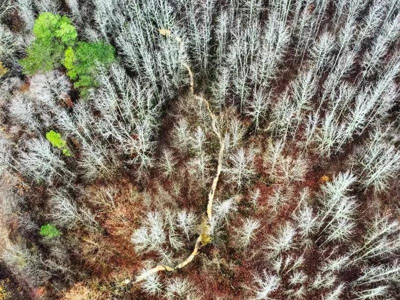 One Equity Share on 940 Acres at Lo : Grenada : Grenada County : Mississippi