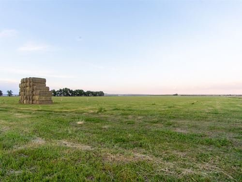 Sioux County Irrigated Farm : Morrill : Sioux County : Nebraska
