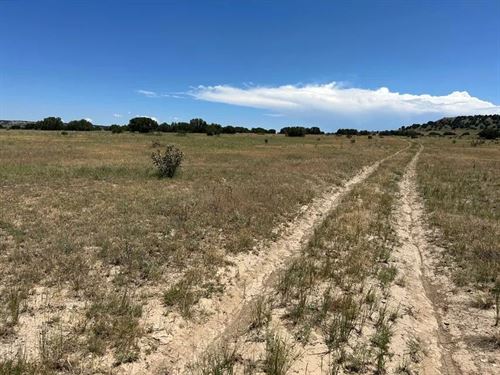 Lot 17 Longhorn Ranch, Model, CO 81 : Model : Las Animas County : Colorado