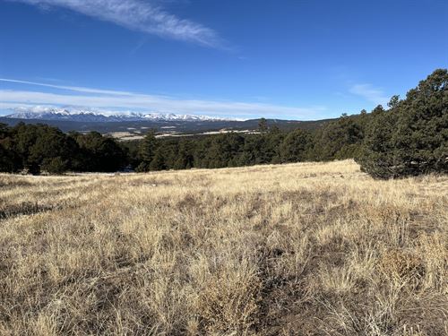 Turkey Creek Retreat : Gardner : Huerfano County : Colorado