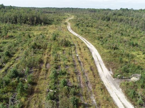 157 Ac Timber & Recreational Invest : Bonifay : Washington County : Florida