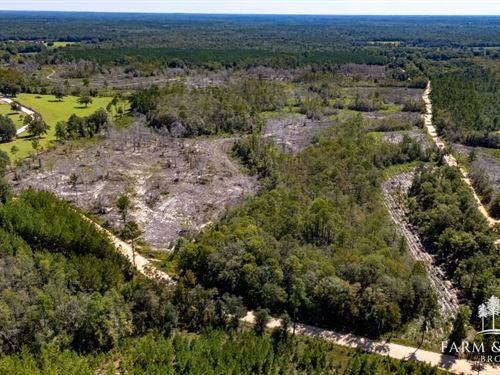 122 Ac Recreational Timberland Inve : Bonifay : Holmes County : Florida