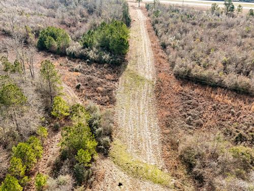 Build, Hunt & Escape, Affordable : Collins : Covington County : Mississippi