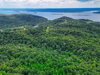 44.24 Acres in Stewart, TN : Stewart : Tennessee