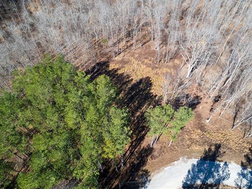 15 Acres in Humphreys County, TN : Waverly : Humphreys County : Tennessee