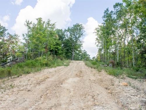 $499 Down Land/ No Catch : Mount Vernon : Rockcastle County : Kentucky
