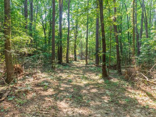 No Credit Check $999 Down : Lexington : Henderson County : Tennessee