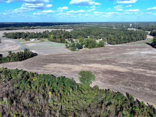 Residential Acreage and Farm Land : Fairmont : Robeson County : North Carolina