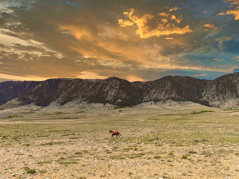 Greyhawk Vista at Wild Horse Ranch : Laramie : Albany County : Wyoming