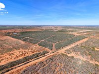 Jourdanton 101-T3, Only $15K Down : Jourdanton : Atascosa County : Texas