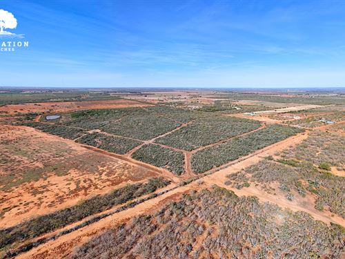 Jourdanton 101-T3, Only $15K Down : Jourdanton : Atascosa County : Texas