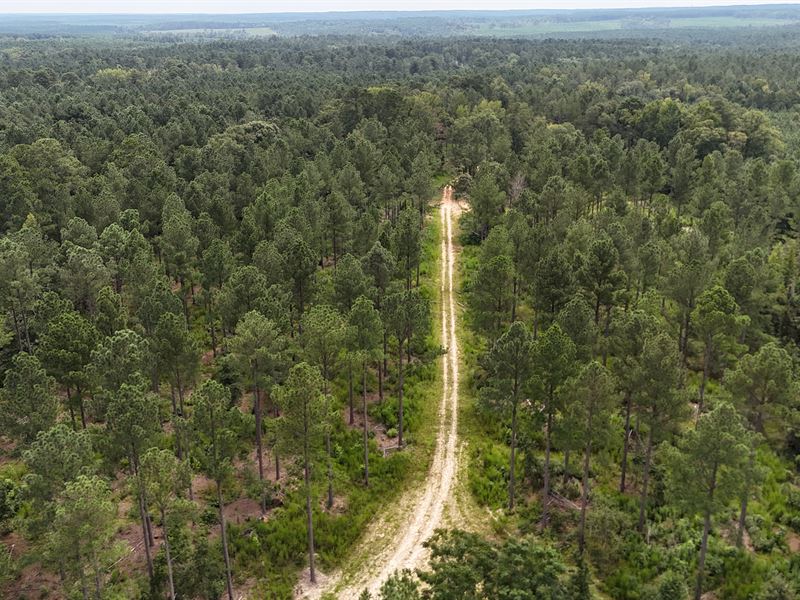 Prime Investment Property : Appling : Columbia County : Georgia