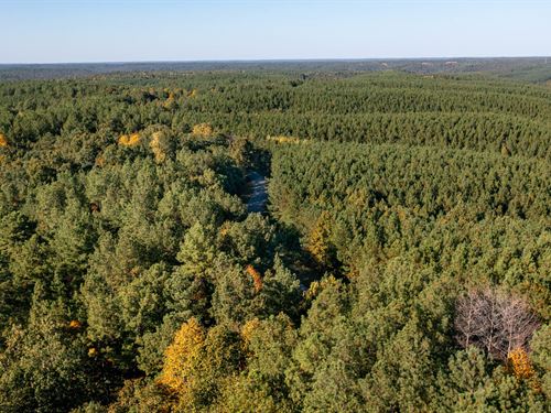 $999 Down Raw Land in Perry County : Linden : Perry County : Tennessee