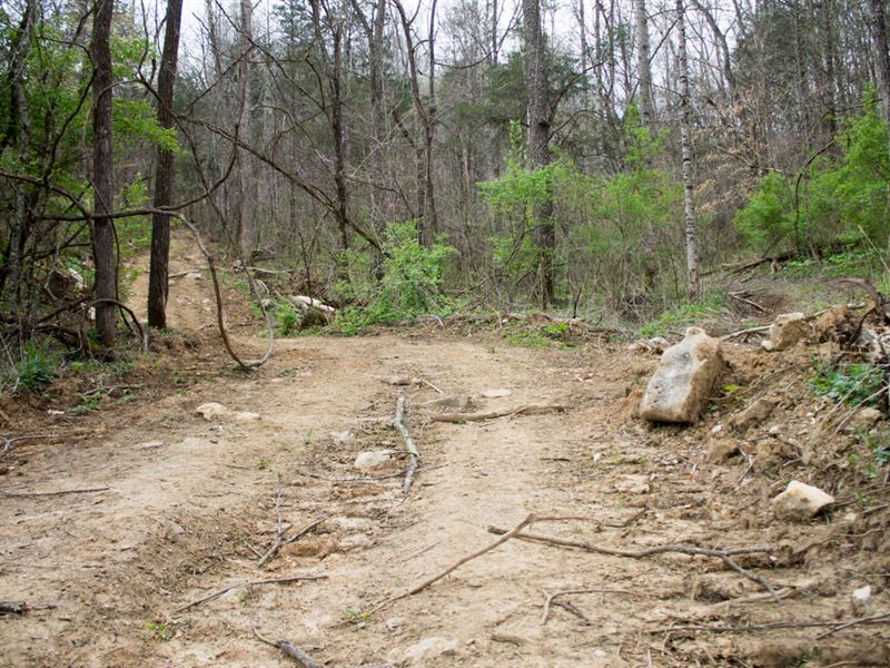 No Credit Check, $499 Down : Mount Vernon : Rockcastle County : Kentucky