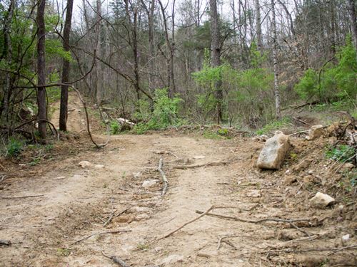 No Credit Check, $499 Down : Mount Vernon : Rockcastle County : Kentucky