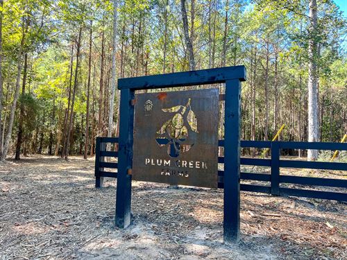 76 Acres, FM 350, T-16, Plum Cre : West Livingston : Polk County : Texas