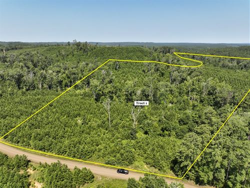 30 Acres, T-1, Carters Ferry Road : Milam : Sabine County : Texas