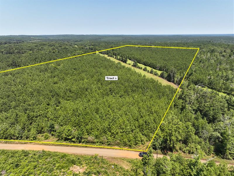 34 Acres, T-1, Carters Ferry Road : Milam : Sabine County : Texas