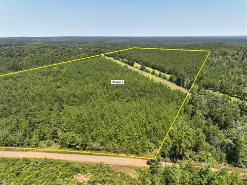34 Acres, T-1, Carters Ferry Road : Milam : Sabine County : Texas