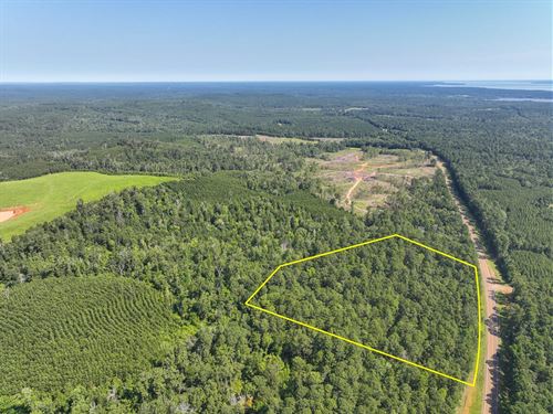 11 Acres, T-1, Highway 87, 1012 : Milam : Sabine County : Texas