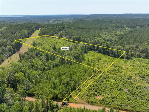 11 Acres, T-4, Carters Ferry Road : Milam : Sabine County : Texas